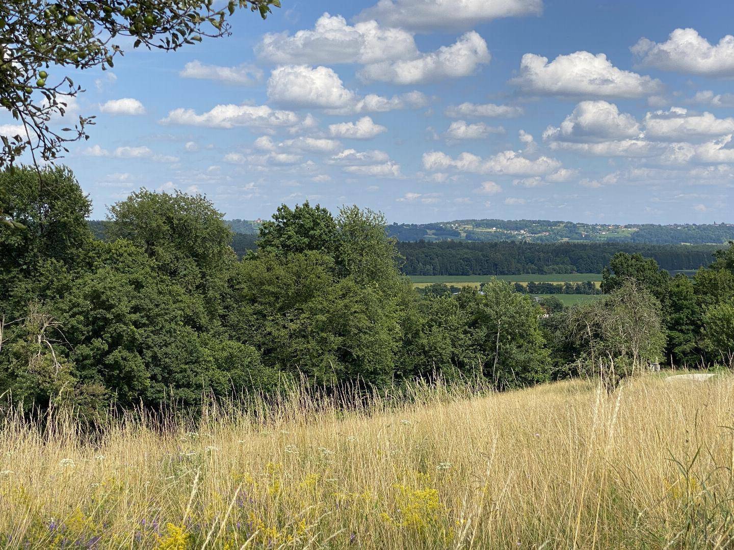 Ruhige Landschaft mit üppiger Vegetation, goldenen Feldern und einem weiten Blick in die Ferne.