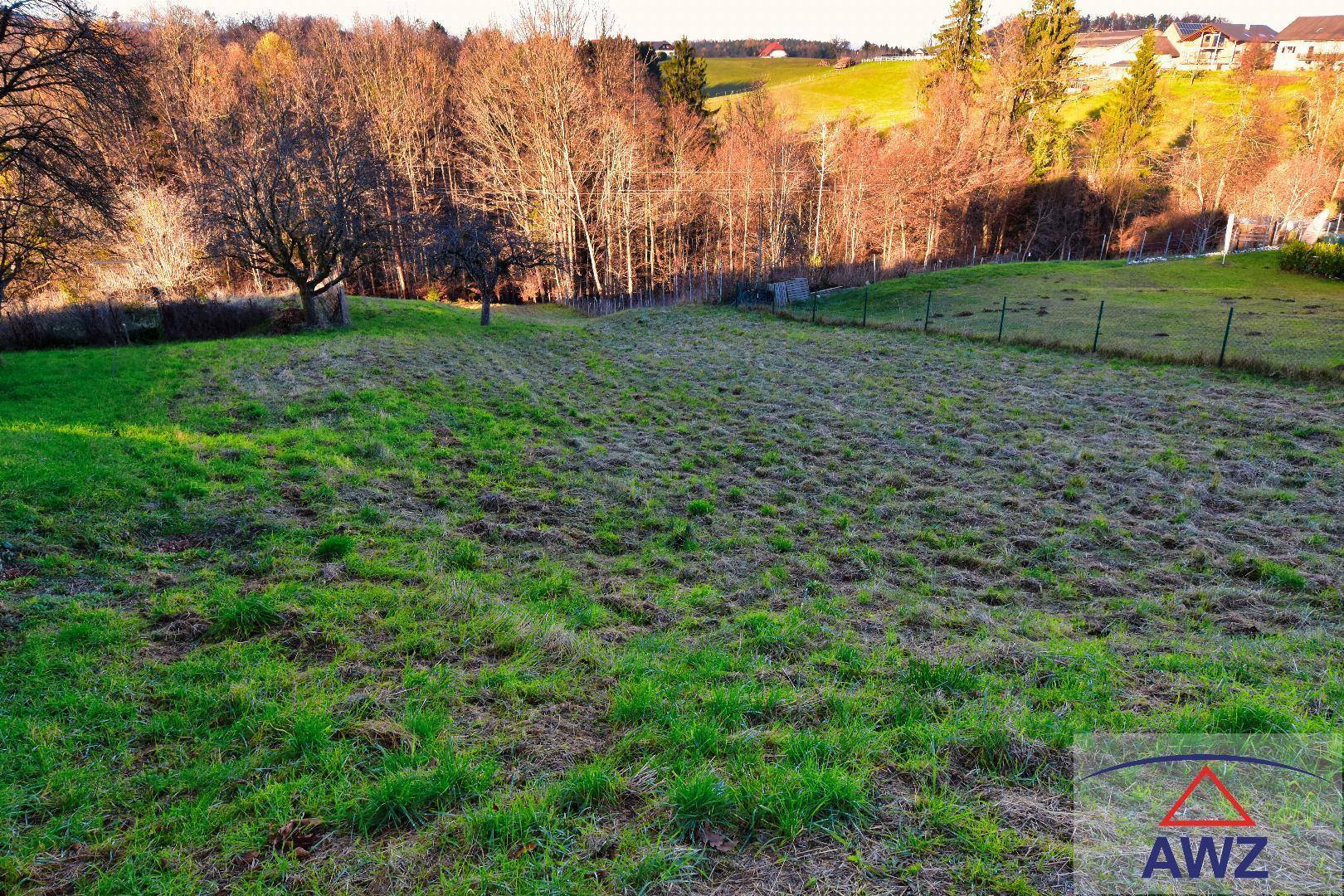 Weitläufige grüne Wiese mit einem Zaun und Bäumen, im Hintergrund sind Häuser auf einem Hügel sichtbar.
