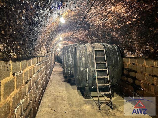 Historischer Gewölbekeller mit Ziegelwänden und großen Holzfässern zur Weinlagerung.