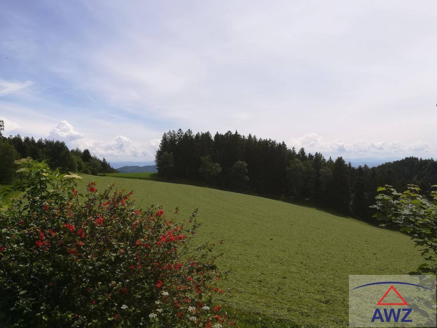 Malerische ländliche Landschaft mit weiten grünen Wiesen und dichtem Wald unter bewölktem Himmel.