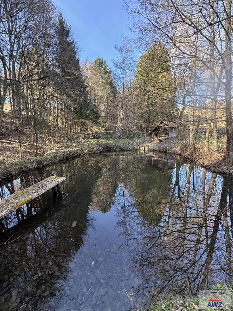 Ruhiger Teich umgeben von kahlen Bäumen und Wald, mit einer kleinen Holzbrücke am Ufer.