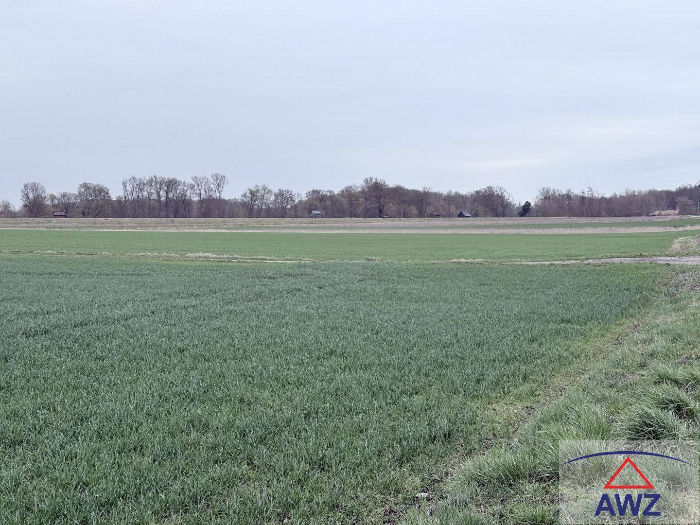 Ausgedehnte grüne Felder mit einem Feldweg und einem Waldstreifen in der Ferne unter einem grauen Himmel.