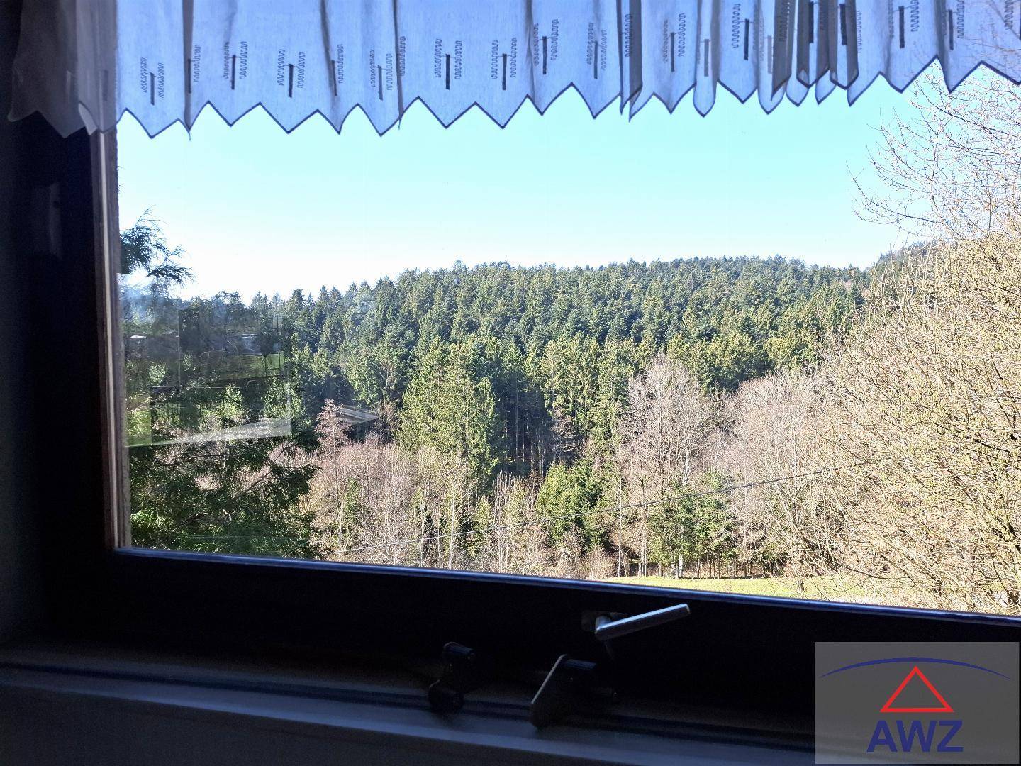 Weitblick aus einem Fenster auf einen dichten Wald und die umliegende Natur.