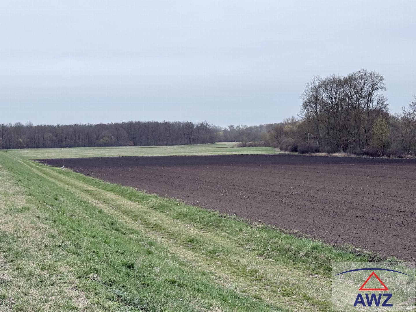 Frisch gepflügtes Feld neben einem grünen Streifen und einem Waldrand unter einem bewölkten Himmel.