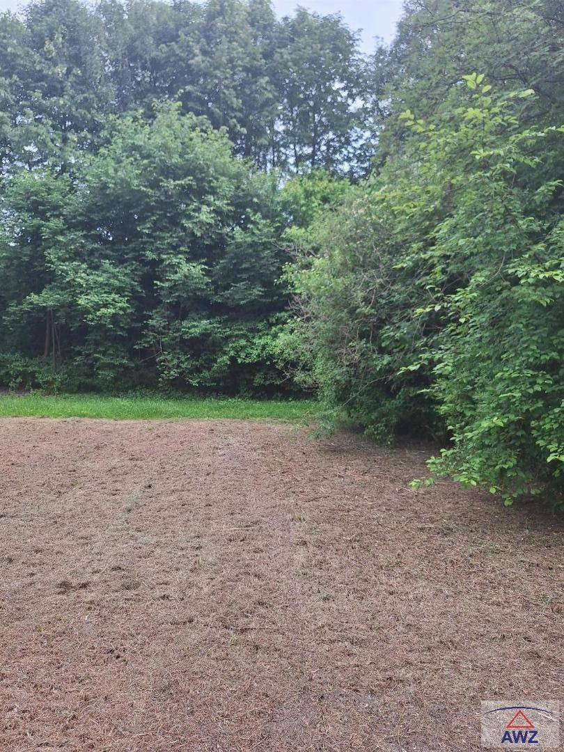 Weitläufige Gartenfläche mit natürlicher Bepflanzung im Hintergrund, bereit zur individuellen Gestaltung.