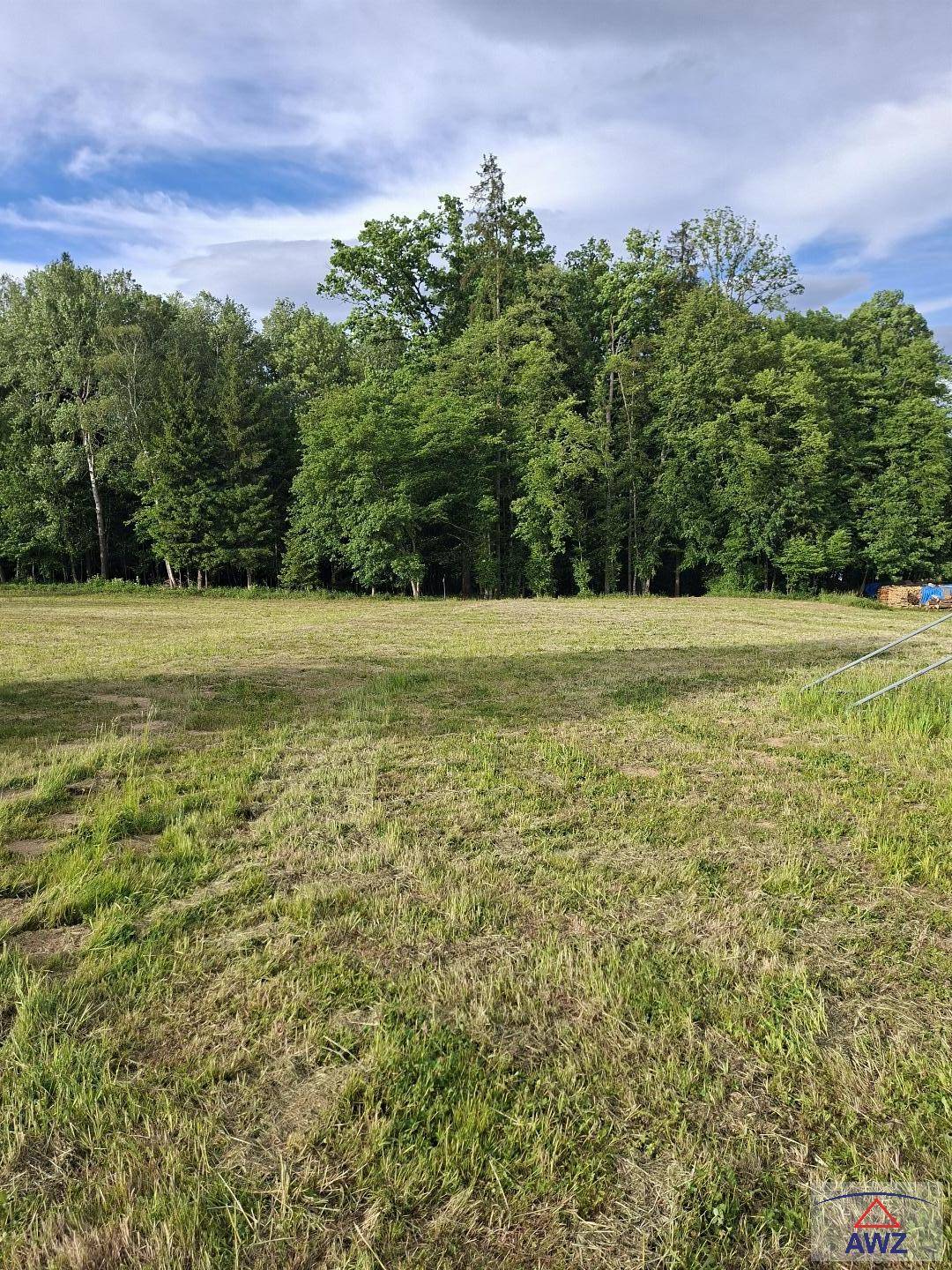 Ausgedehnte Grasfläche, umgeben von dichtem Wald, unter einem teilweise bewölkten Himmel.