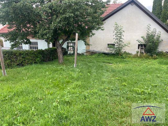 Gepflegter Gartenbereich mit Rasenfläche, altem Baum und Blick auf die Hausfassade.