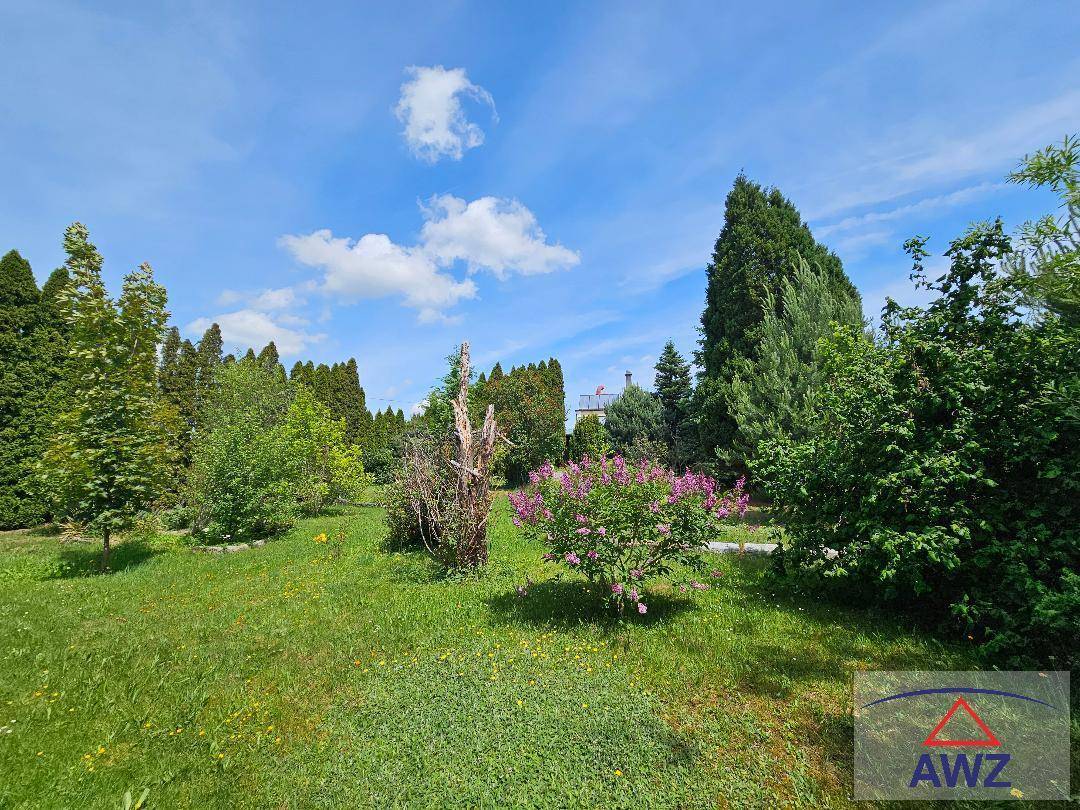 Großer, gepflegter Garten mit vielfältigen Bäumen, Sträuchern und blühenden Pflanzen unter blauem Himmel.