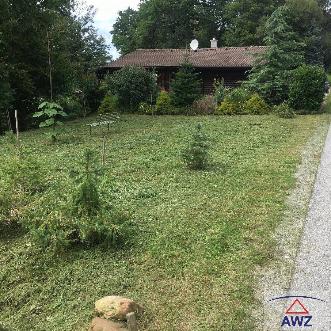 Weitläufiger Gartenbereich mit frisch gemähtem Rasen, jungen Bäumen und einem Holzhaus im Hintergrund.