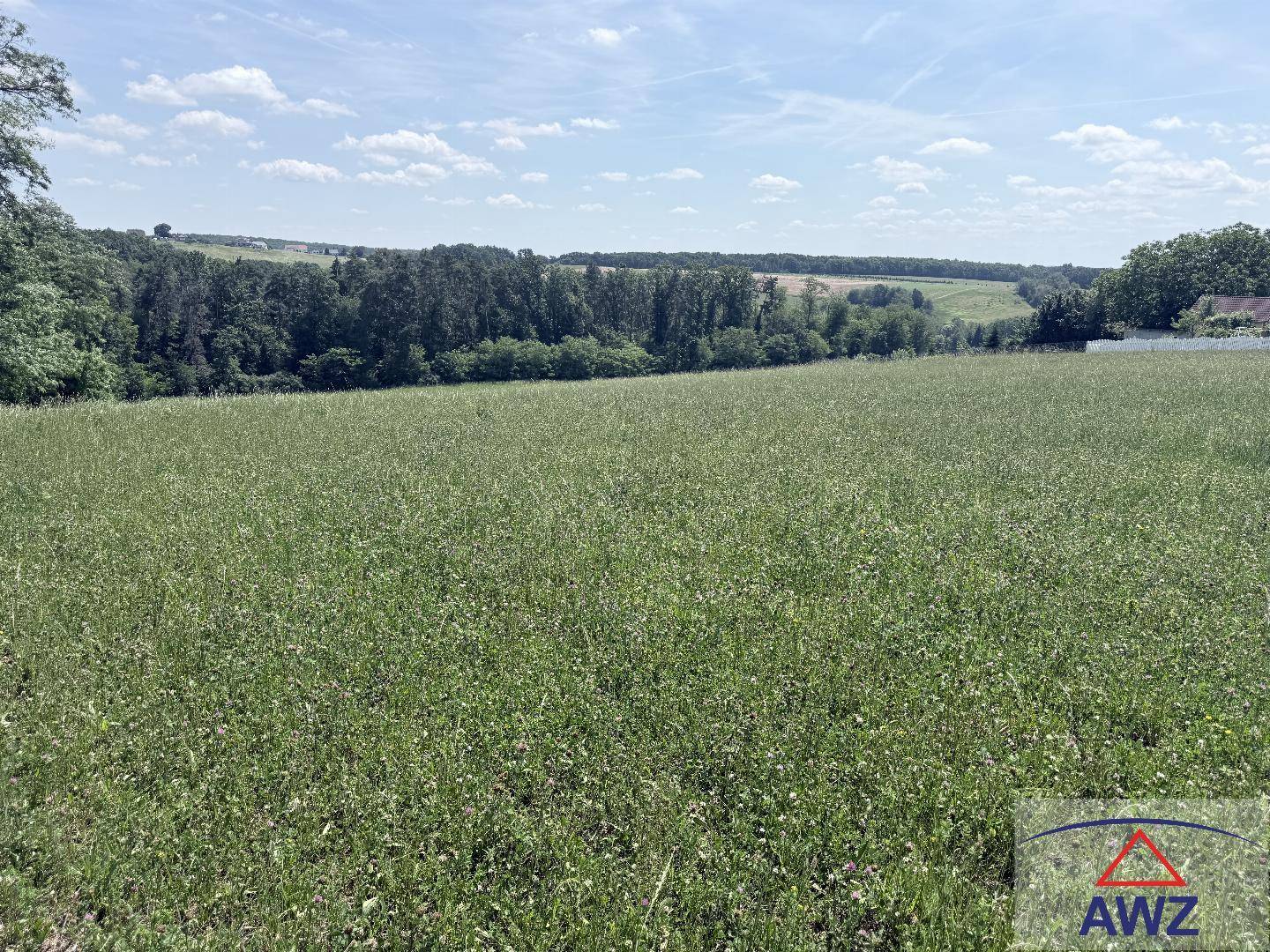 Panoramablick über weite grüne Felder und hügelige Landschaft mit Wäldern am Horizont.