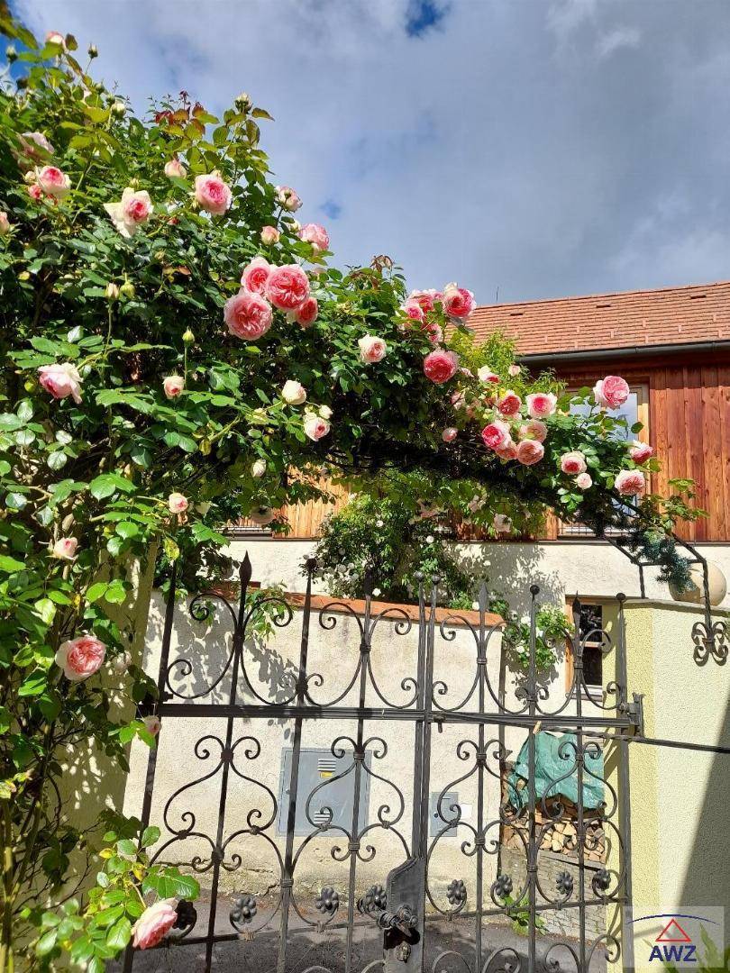 Blühende Rosen ranken sich über ein schmiedeeisernes Tor, das den Eingang zum Garten markiert.