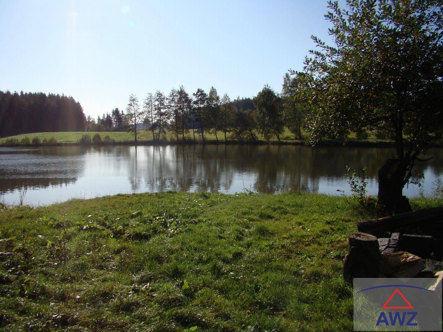 Weitläufiger Teich mit bewaldeten Ufern und einer sonnigen Wiese im Vordergrund, unter hellem Himmel.