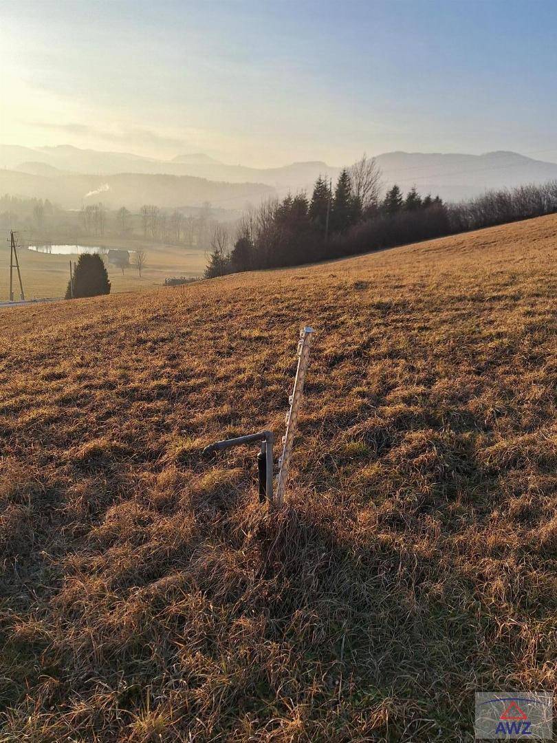 Trockenes Feld mit braunem Gras und einer weiten Landschaft mit Bergen im nebligen Hintergrund.