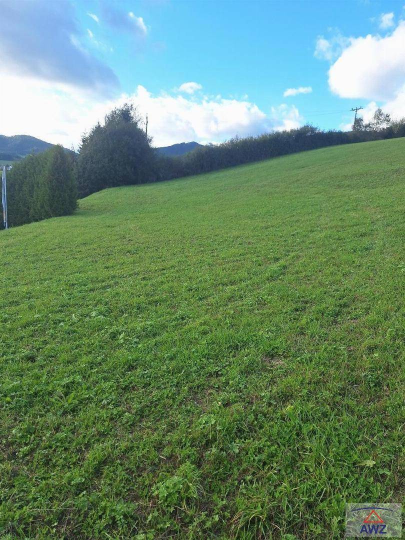 Grüne Wiese mit einer dichten Hecke und Bäumen im Hintergrund, umgeben von sanften Hügeln.