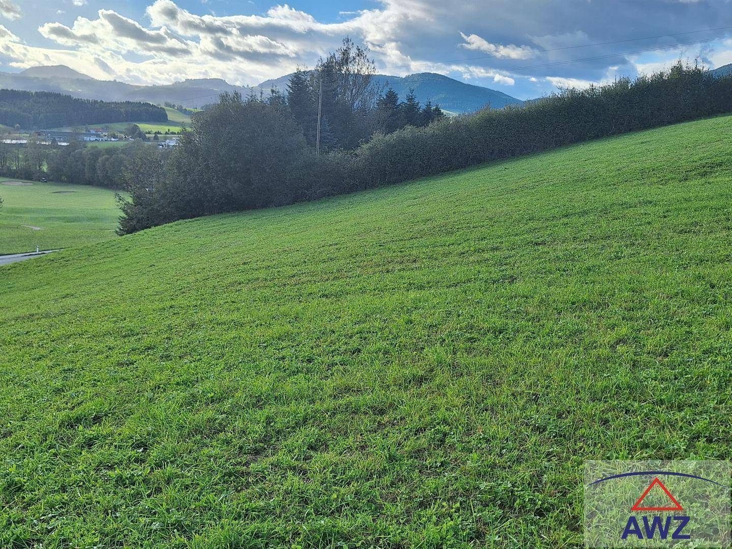 Sanfter grüner Hügel mit einer Hecke im Hintergrund und Bergen am Horizont unter bewölktem Himmel.