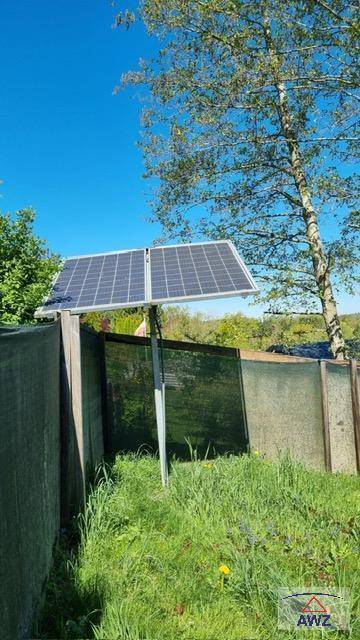 Solarmodule auf einem Mast in einer grünen Wiese unter strahlend blauem Himmel mit einem Baum.