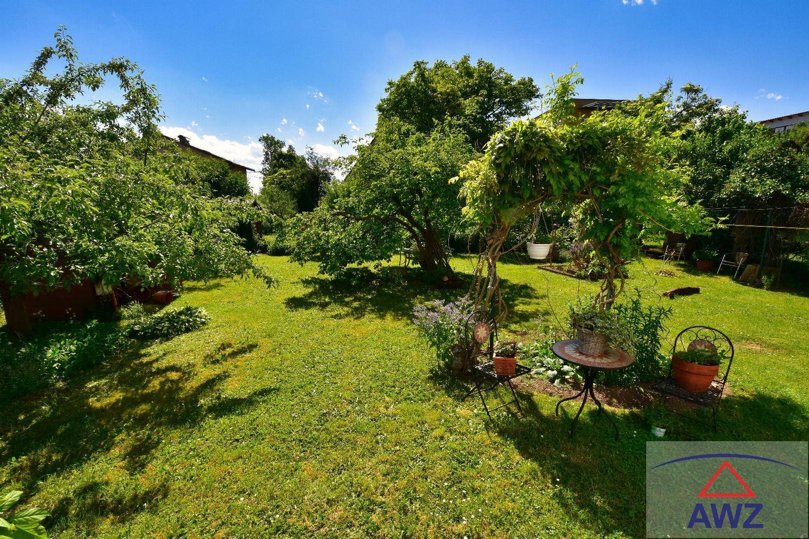 Sonniger Gartenbereich mit Rasen, alten Bäumen und kleiner Sitzecke im Freien.