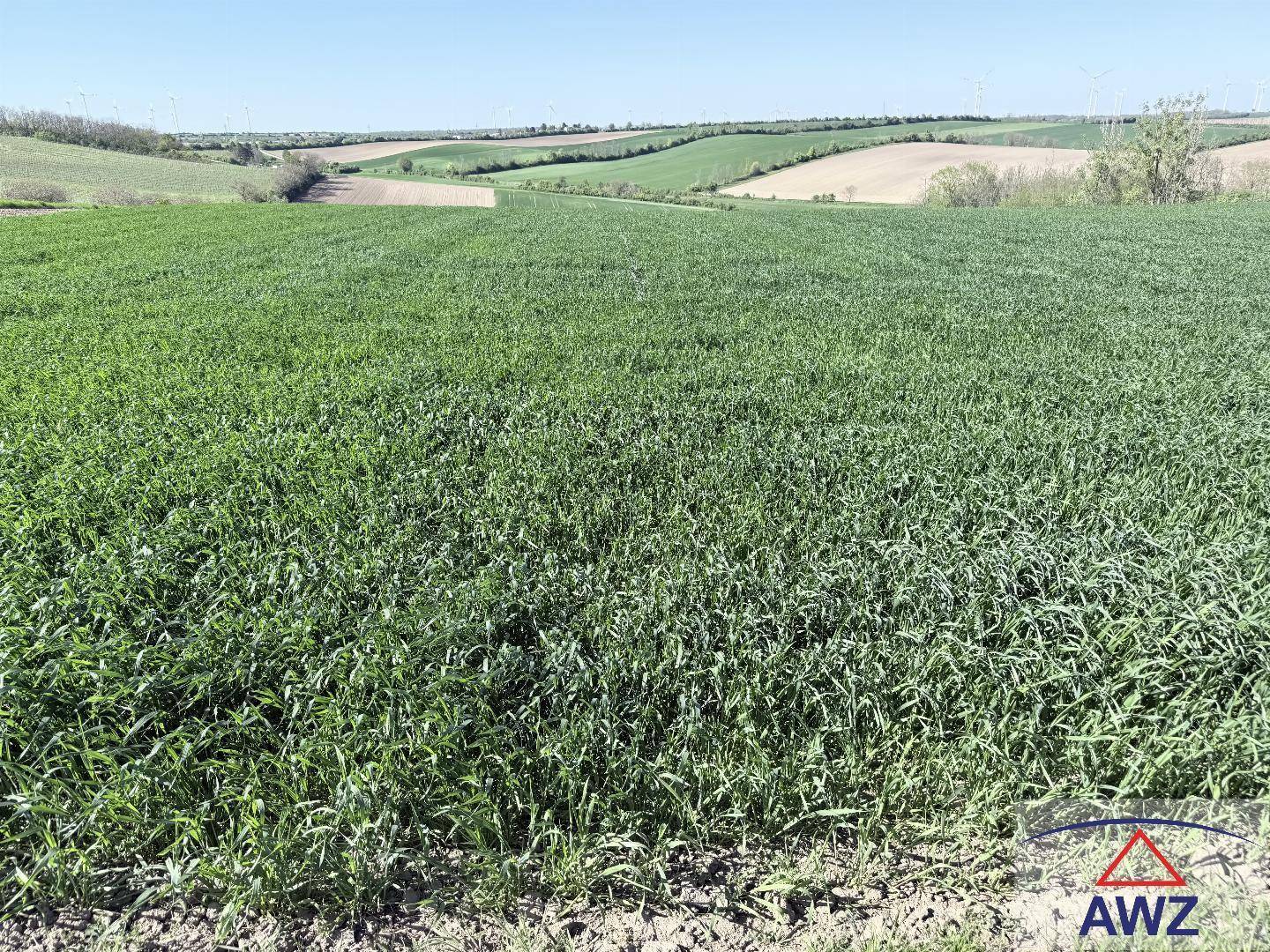 Weitläufige grüne Felder und sanfte Hügel unter klarem blauem Himmel in ländlicher Landschaft.