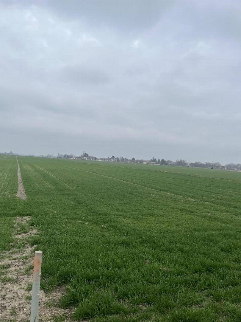 Ausgedehntes grünes Feld unter einem grauen Himmel, mit einer kleinen Siedlung am fernen Horizont sichtbar.