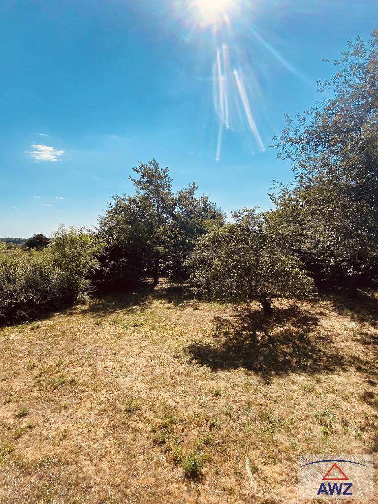 Weitläufiger Gartenbereich mit Bäumen unter strahlend blauem Himmel und Sonnenschein.