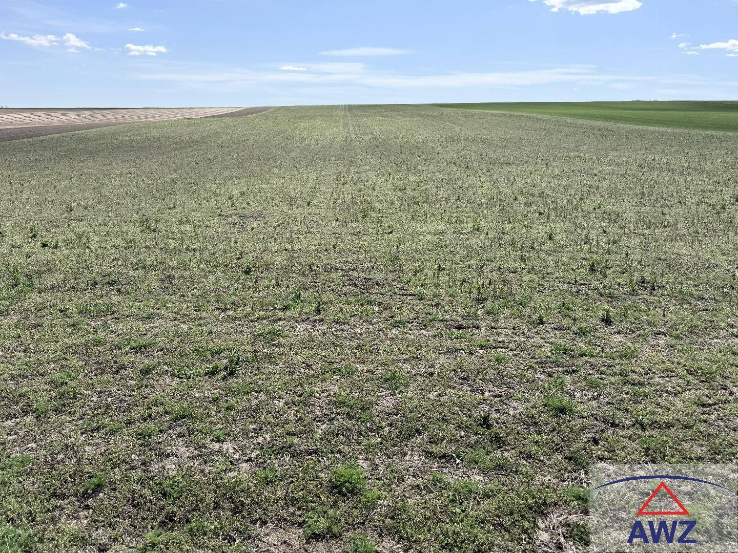 Weites Feld unter blauem Himmel mit leichter Bewölkung, ideal für landwirtschaftliche Nutzung.