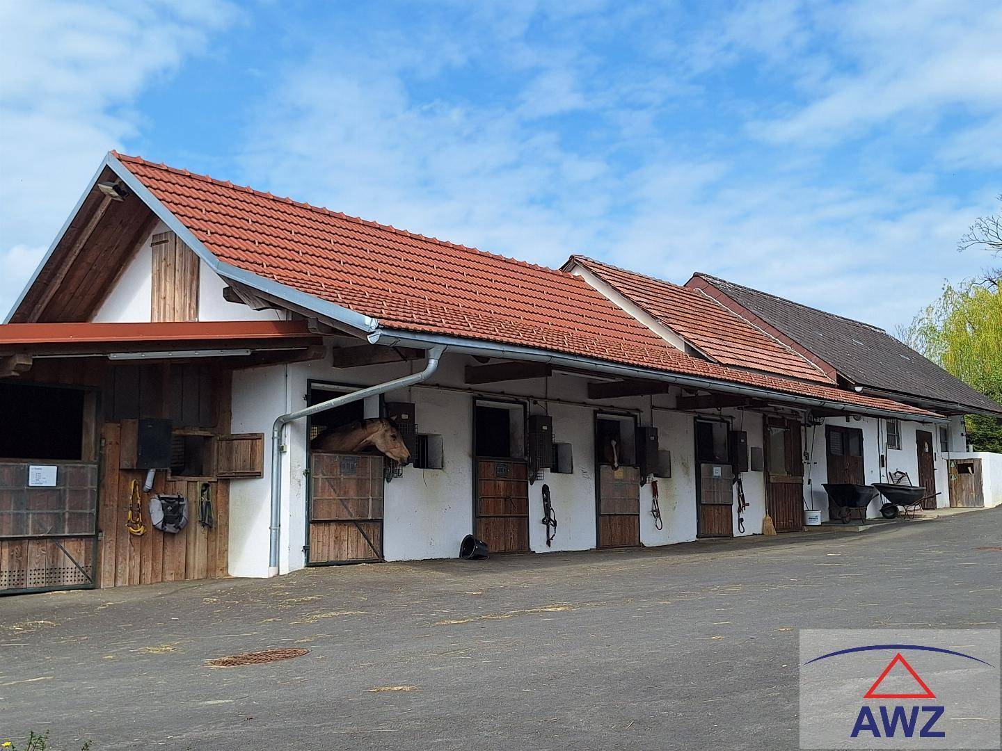 Stallgebäude mit mehreren Pferdeboxen, rotem Ziegeldach und einem Pferd im Eingangsbereich.