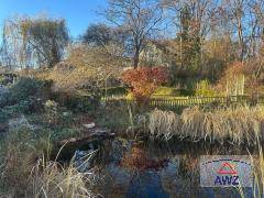 Natürlicher Gartenteich umgeben von Schilf und Bäumen in einer ruhigen Umgebung.
