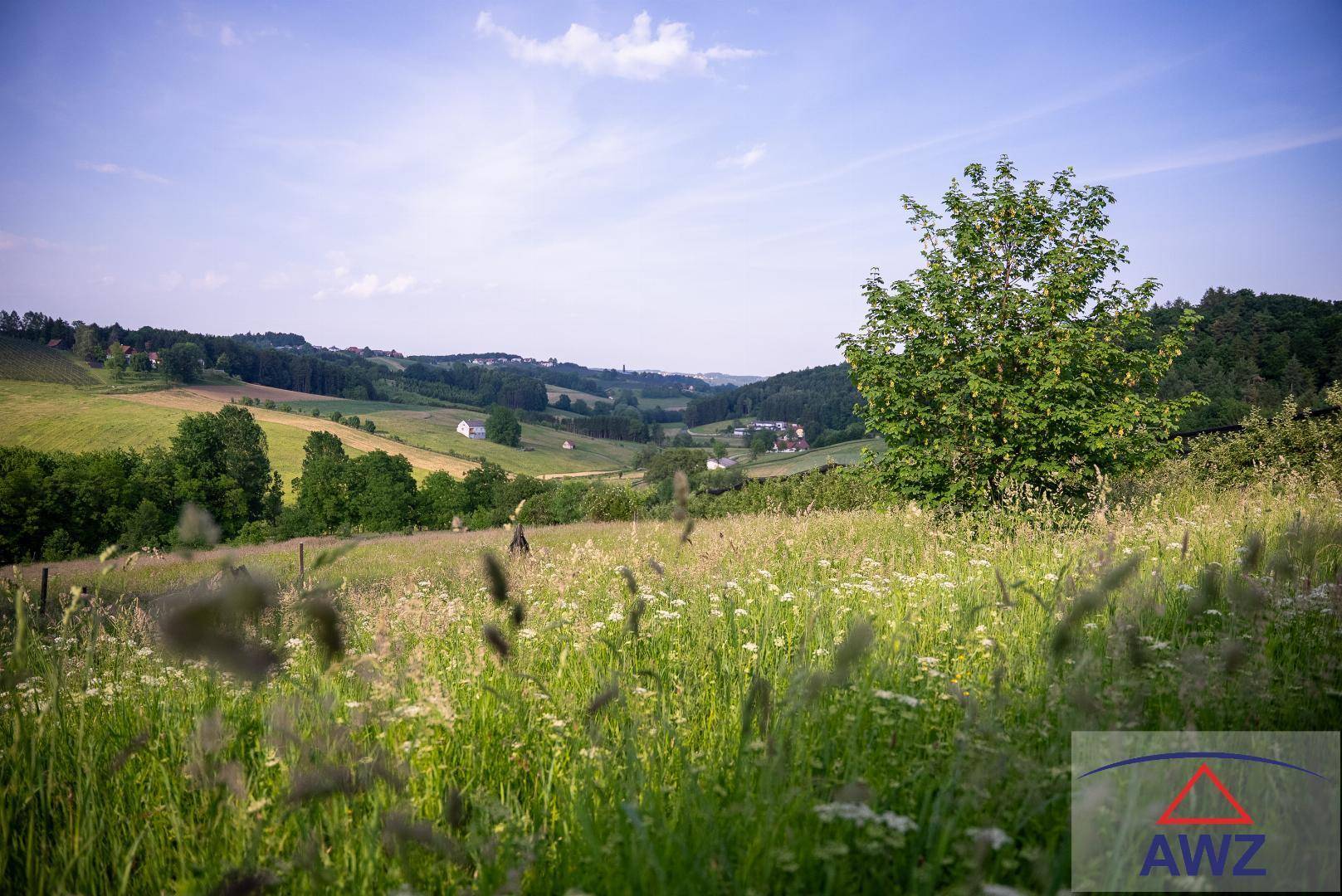 Idyllische Wiesenlandschaft mit hohen Gräsern und einem weiten Blick über sanfte Hügel.