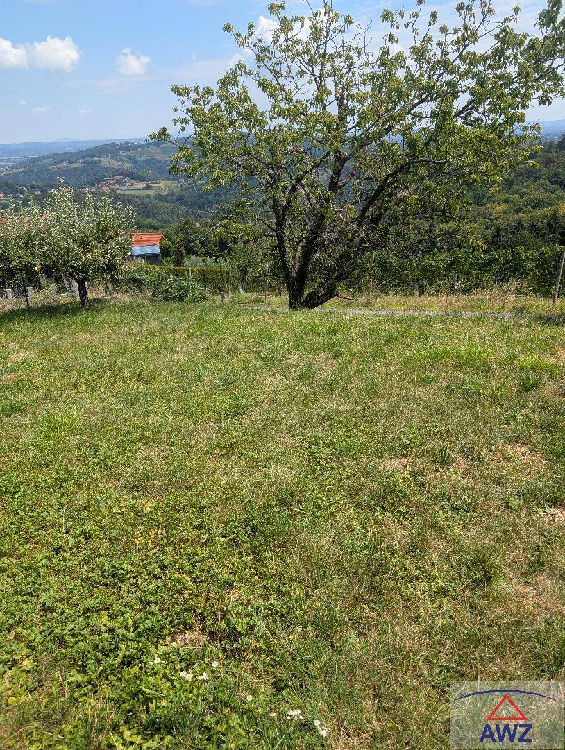 Weitläufige Grünfläche mit altem Baum und malerischem Blick auf die umliegende Landschaft.