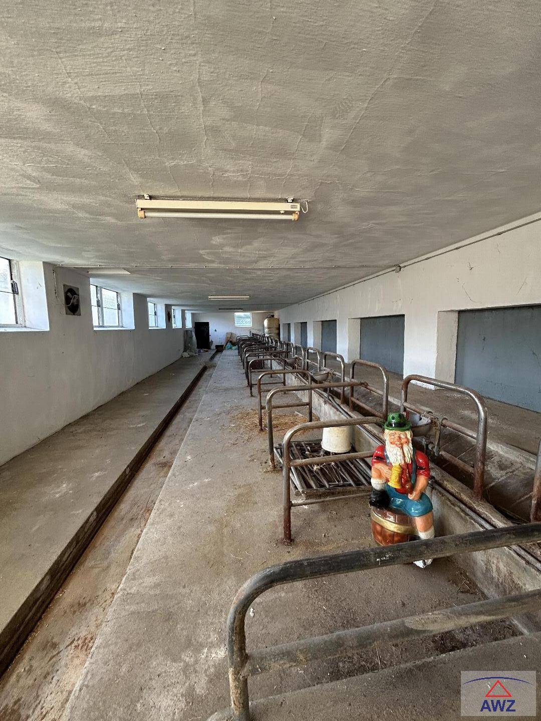 Langer Stallbereich mit Betonboden und kleinen Fenstern, möglicherweise für Tierhaltung.