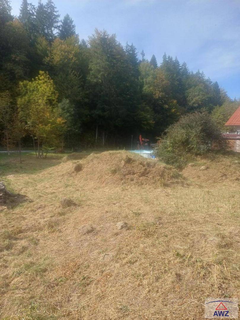 Großes Gartengrundstück mit Rasenflächen, einem kleinen Pool und angrenzendem Wald.