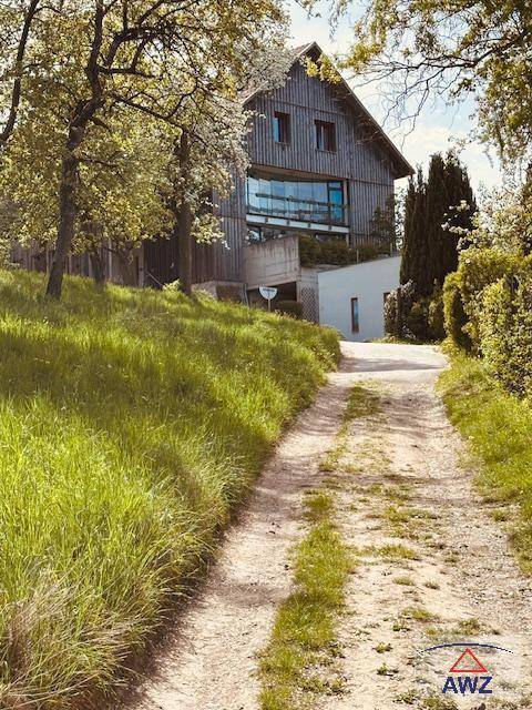 Ländlicher Weg führt zu einem modernen Holzhaus, umgeben von Bäumen und Natur.