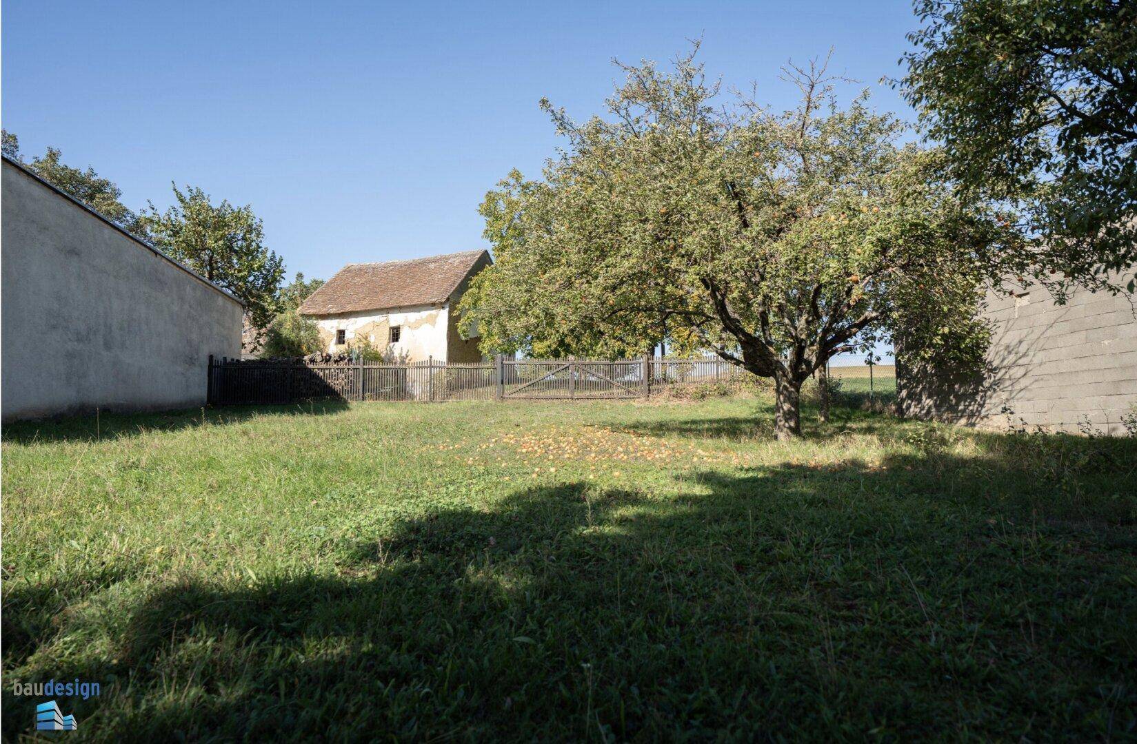 Große Rasenfläche mit einem Obstbaum und Blick auf ein Nebengebäude.