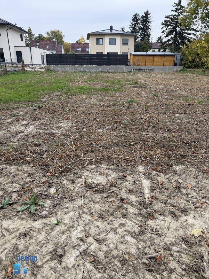 Weitläufiges Grundstück mit spärlichem Grasbewuchs und einem Haus mit Solaranlage im Hintergrund.