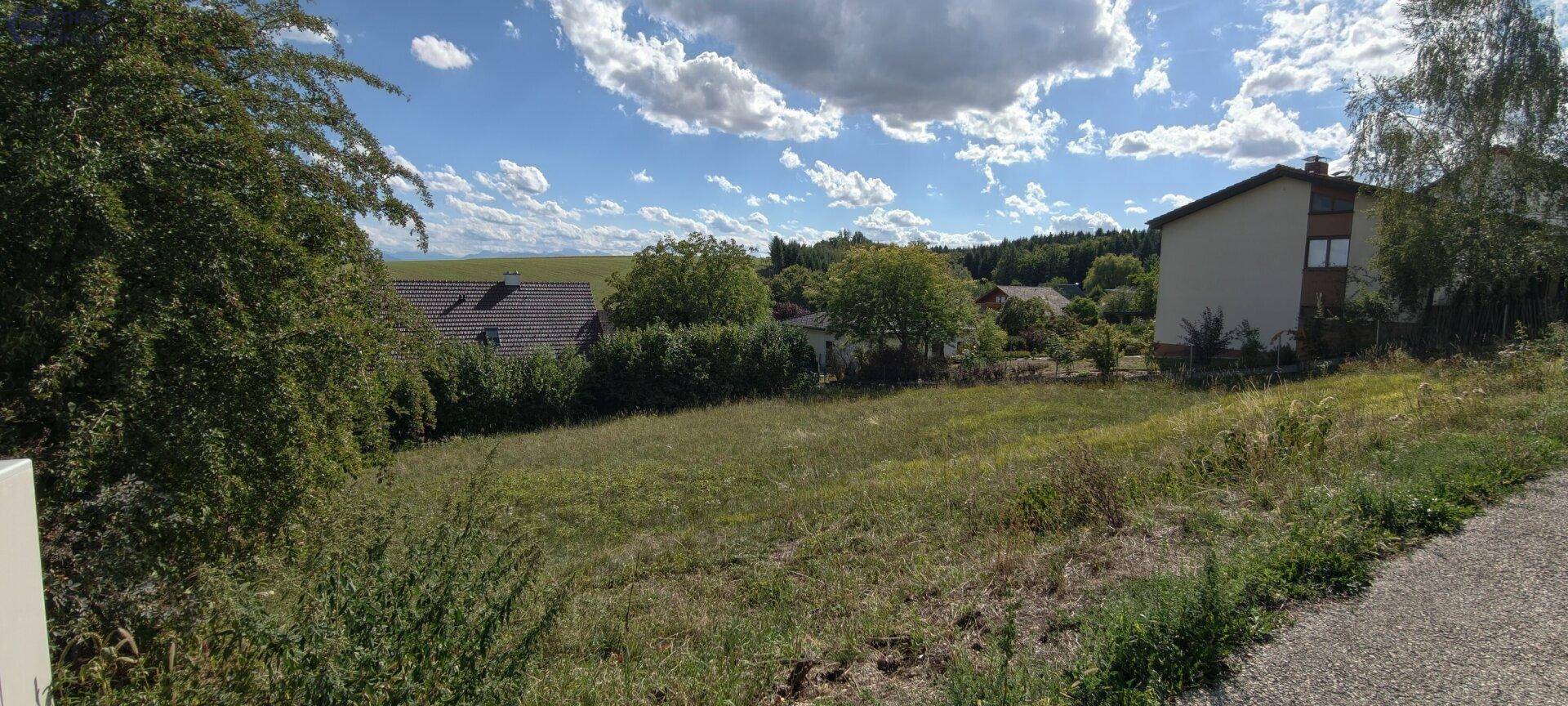 Grundstück mit Grasfläche und angrenzender Straße, umgeben von Bäumen und Wohnhäusern in der Ferne.