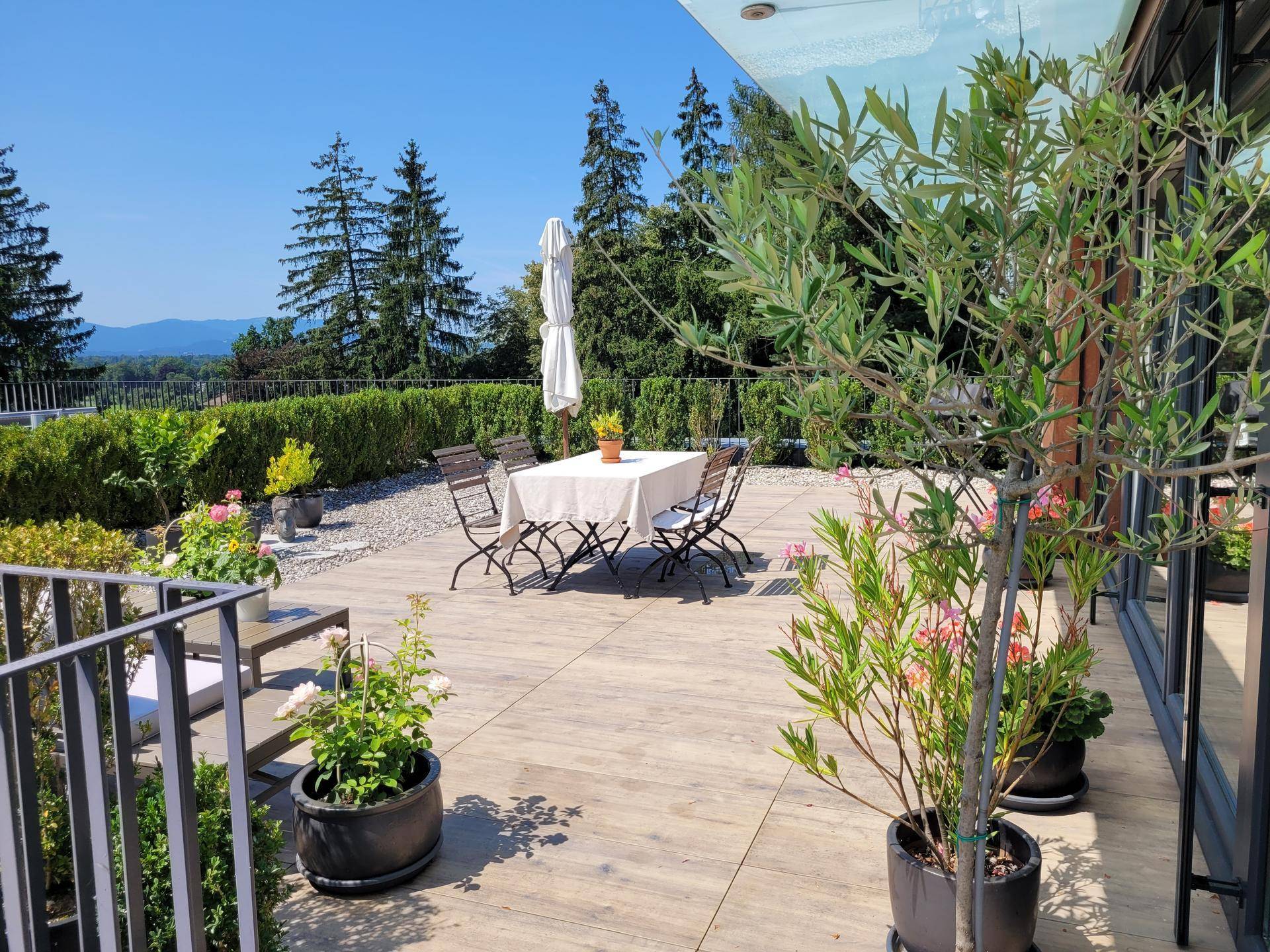 Sonniger Terrassenbereich mit Esstisch, Pflanzen und weitem Blick auf die Landschaft.