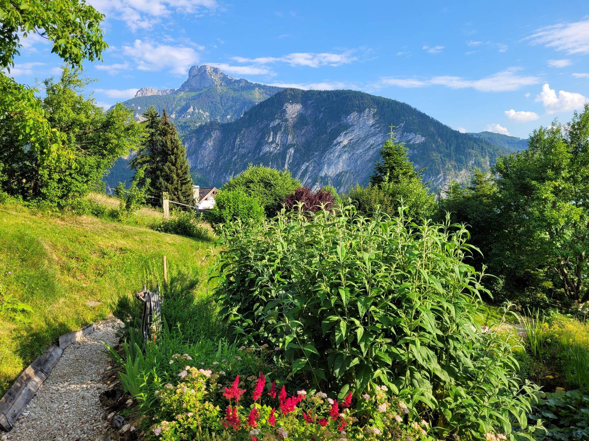Malerischer Gartenweg schlängelt sich durch blühende Beete, mit Blick auf ein Haus am Hang und die imposanten Berge.