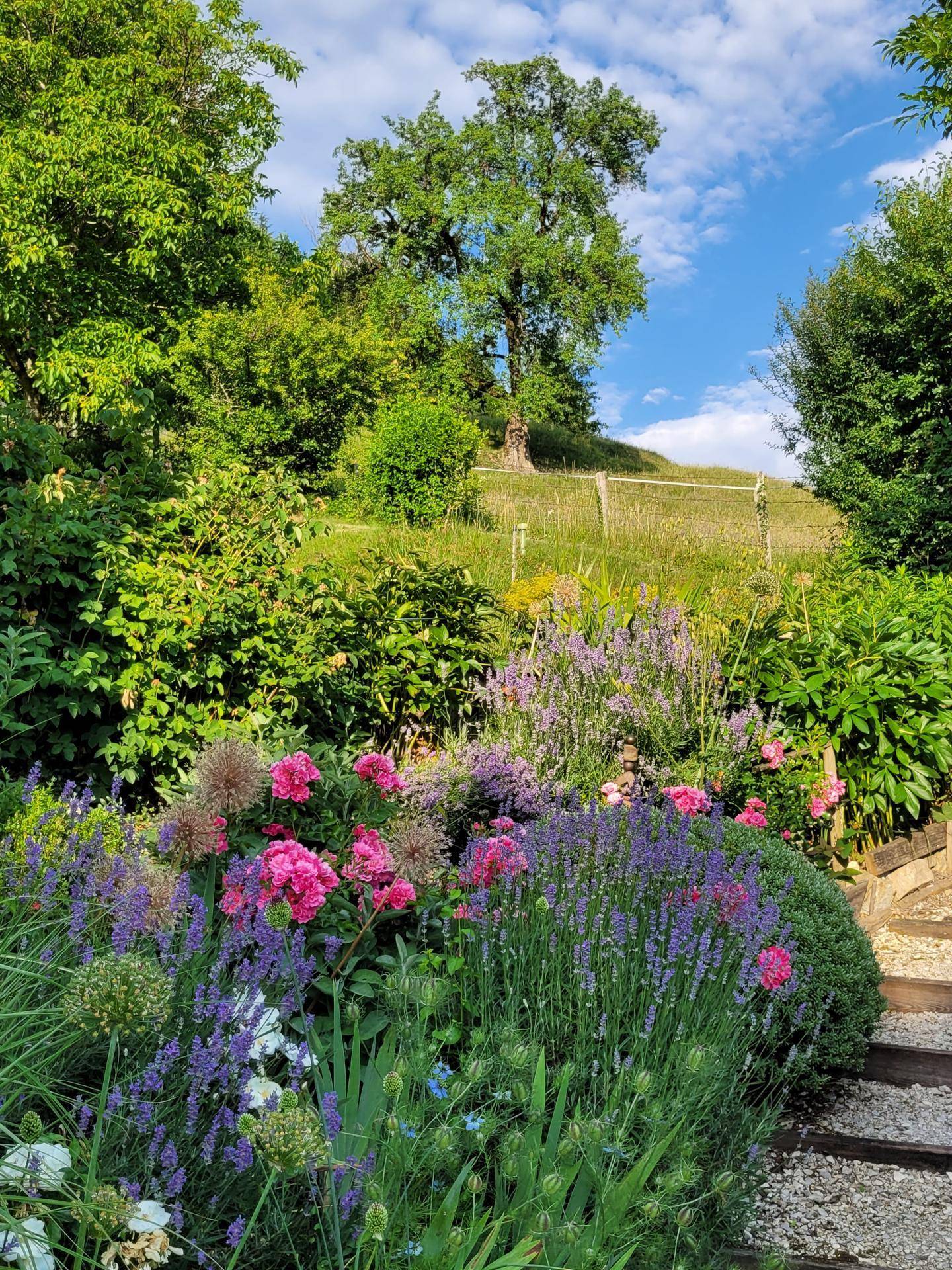 Farbenprächtiger Garten mit üppigen Blumenbeeten in Rosa- und Lilatönen, umgeben von sattem Grün und einem alten Baum.