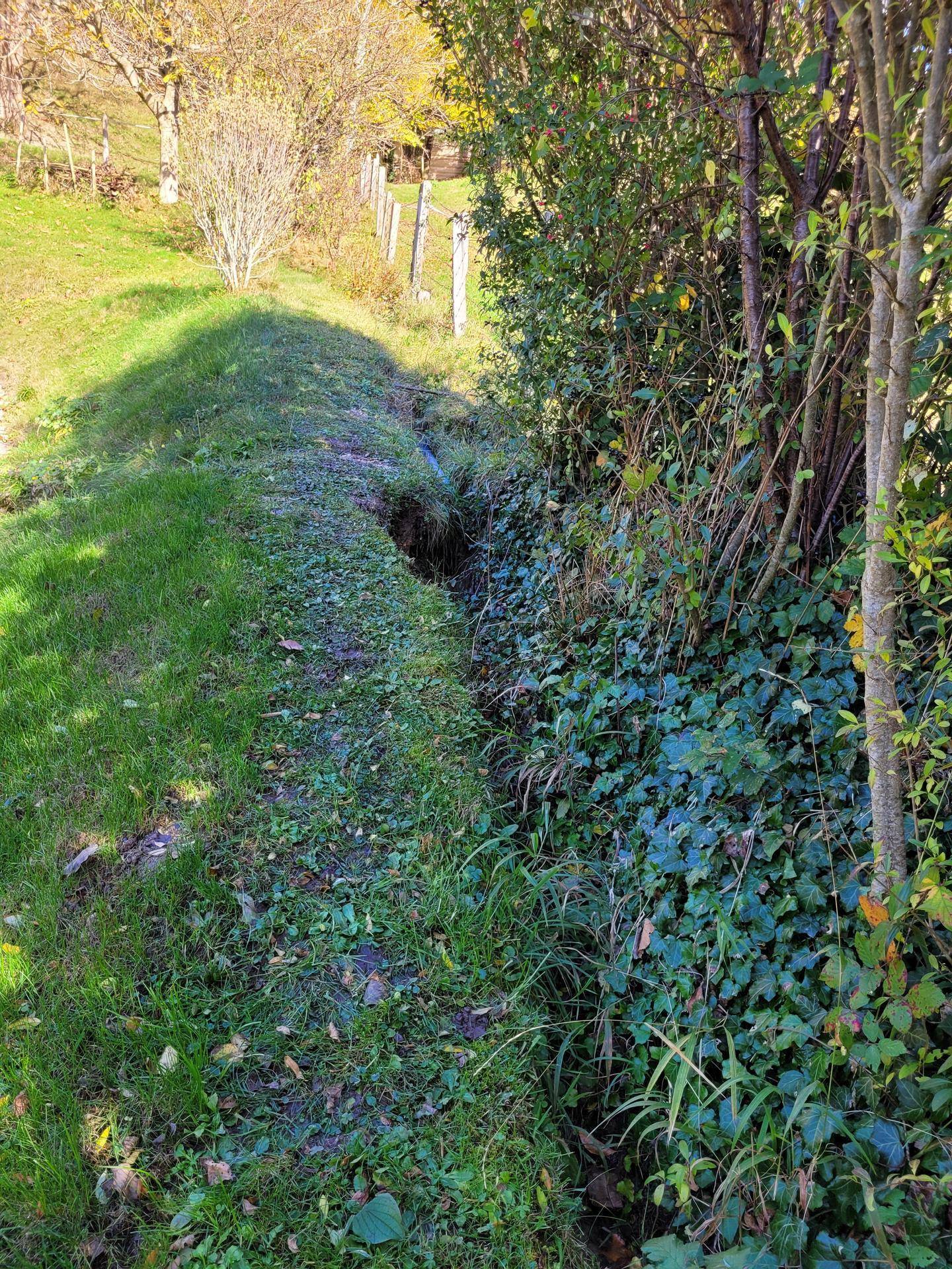 Natürlicher Graben in einer grünen Wiese, umgeben von üppiger Vegetation und Bäumen.