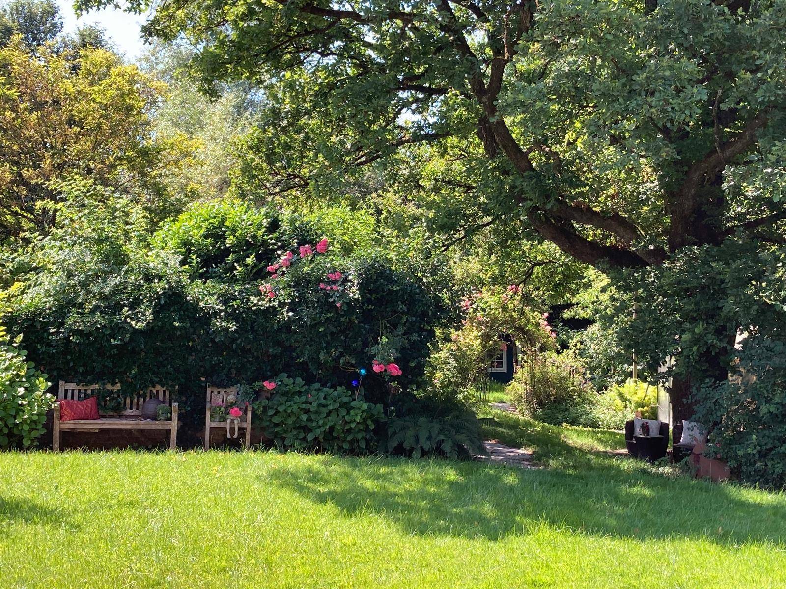Idyllischer Gartenbereich mit schattigen Sitzgelegenheiten unter alten Bäumen.