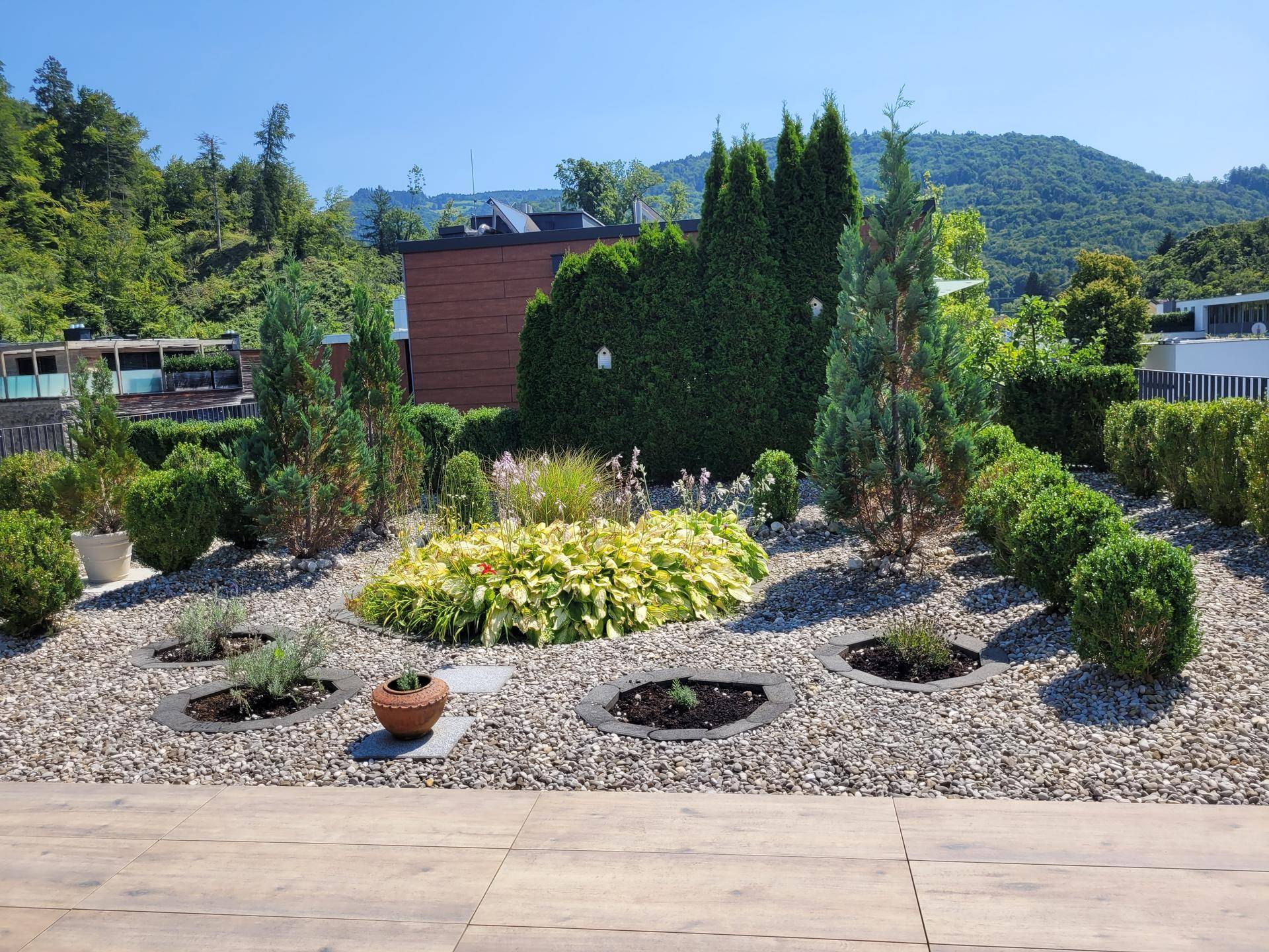 Mediterran gestalteter Gartenbereich mit Kies, verschiedenen Pflanzen und Hecken.
