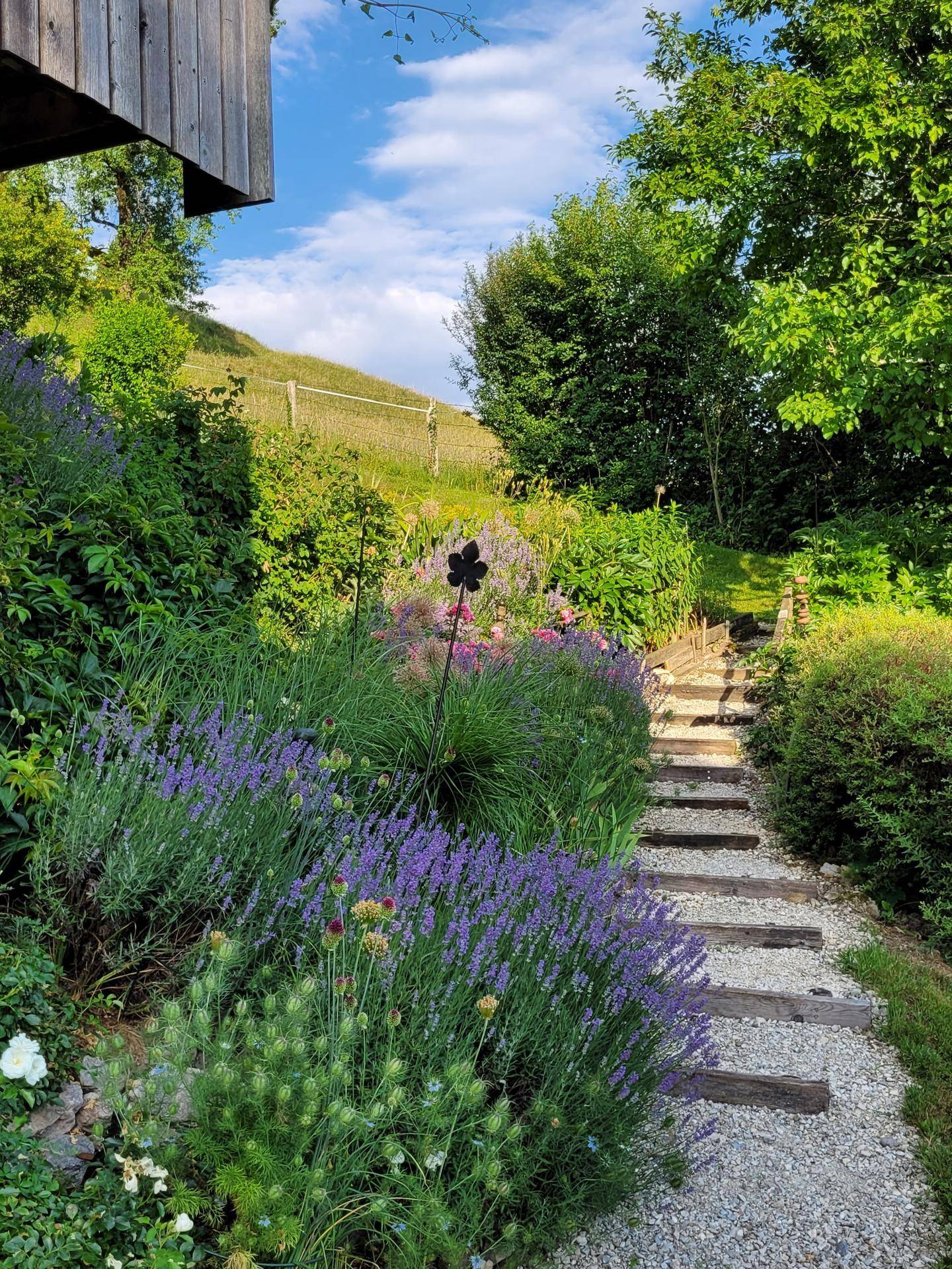 Idyllischer Gartenweg mit Holzstufen, umgeben von blühendem Lavendel und üppigem Grün, führt den Hügel hinauf.