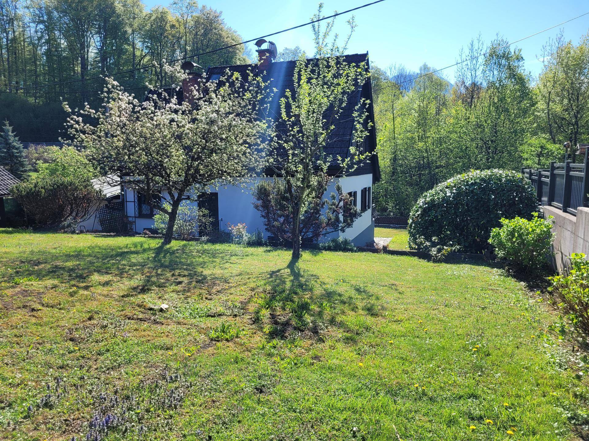 Großer, grüner Garten mit blühenden Bäumen und Blick auf das Haus im Hintergrund.