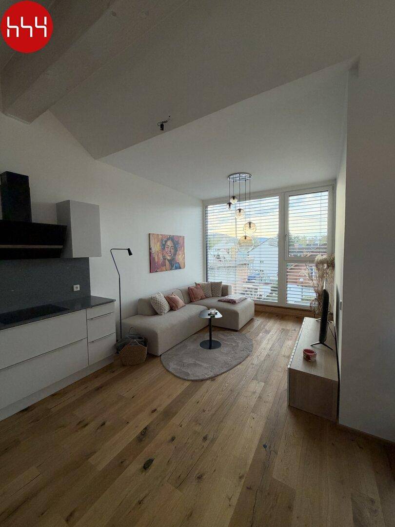 Gemütlicher Wohnbereich mit Sofa, Fernseher und großen Fenstern, die viel Tageslicht hereinlassen.