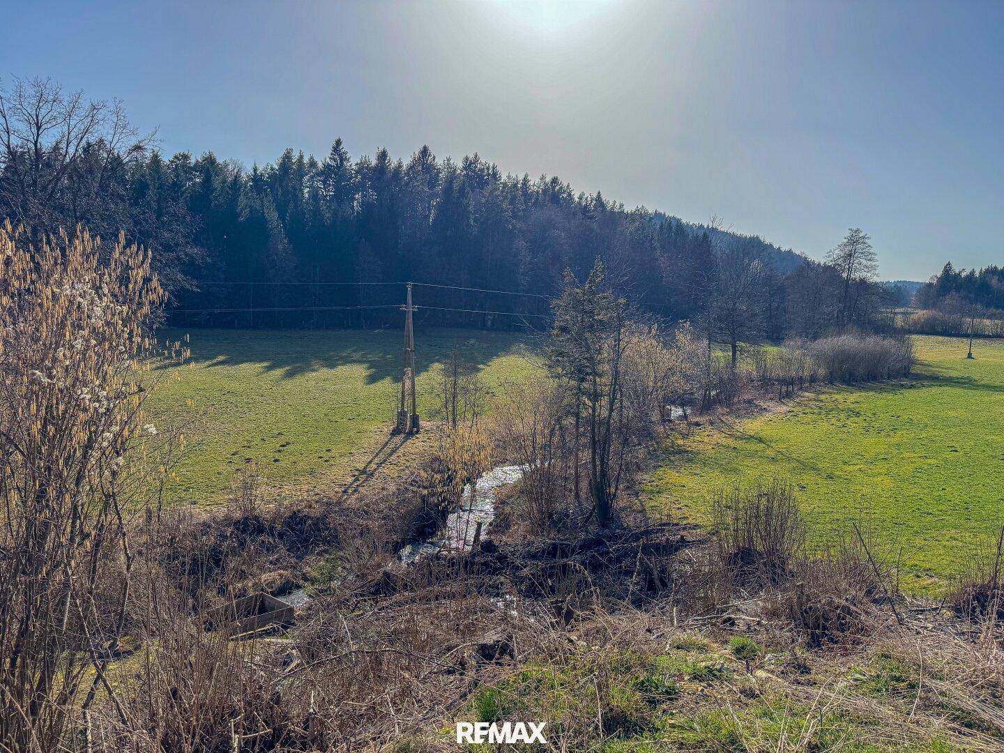 Sonnige ländliche Szene mit einem kleinen Bach, grünen Feldern und einem dichten Wald im Hintergrund.