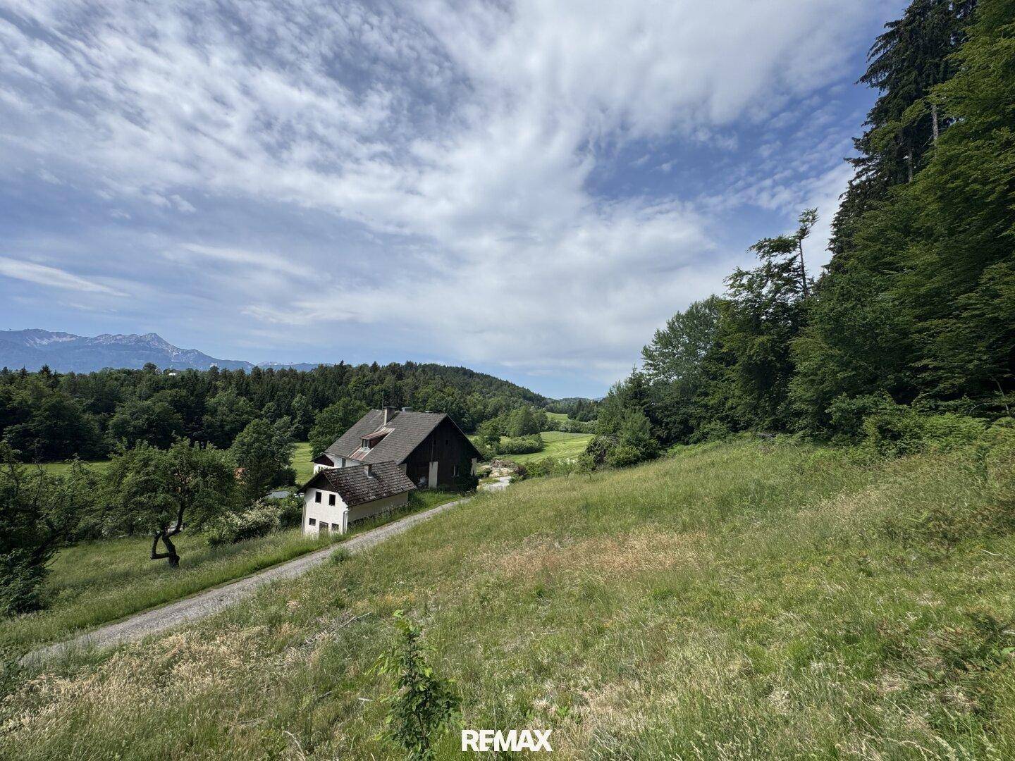 Grüne Hanglage mit einem Haus und Nebengebäude, umgeben von Bäumen und Bergblick.
