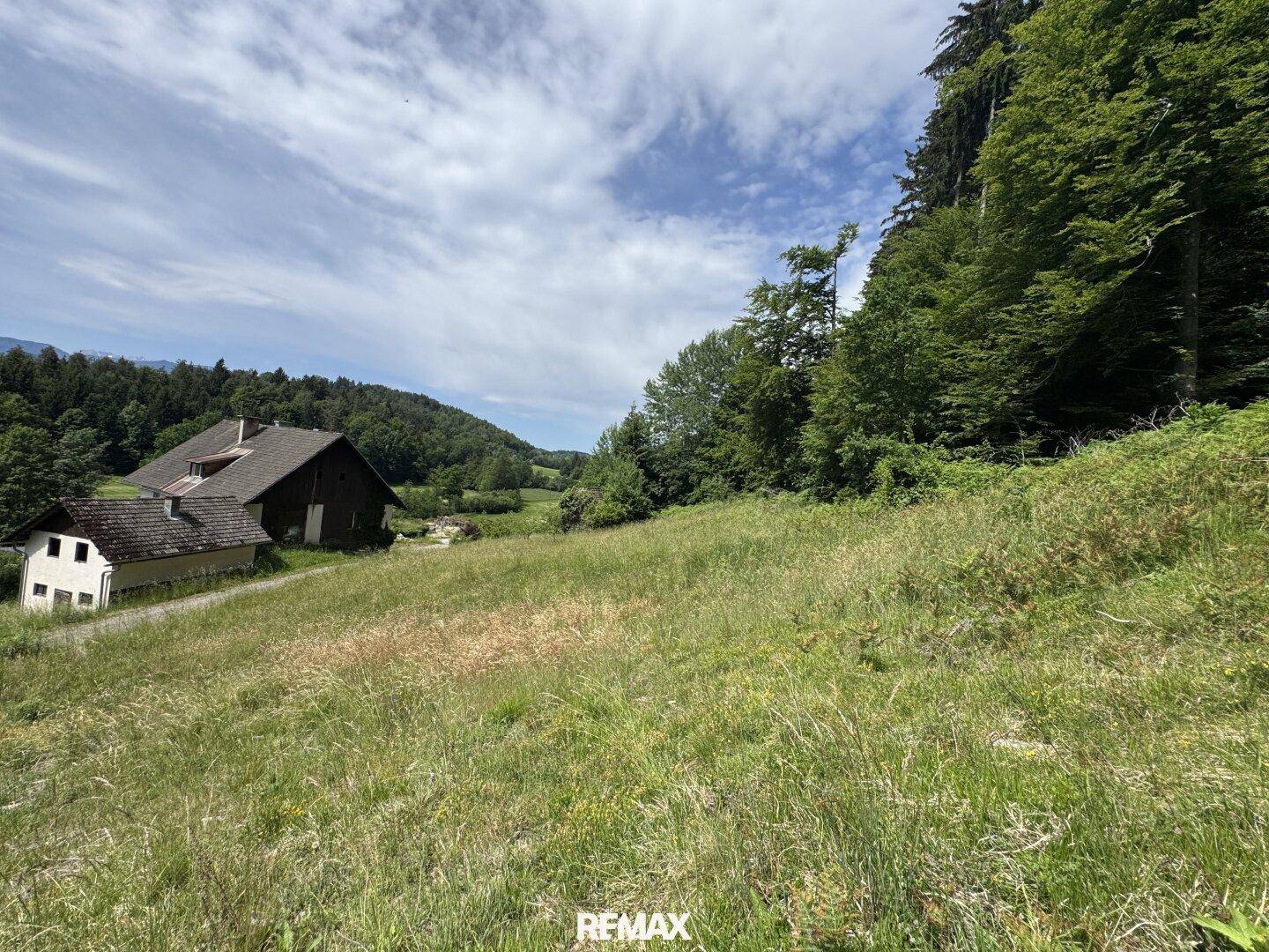 Grüne Wiese mit einem Haus am Waldrand und einem weiten Blick in die Natur.