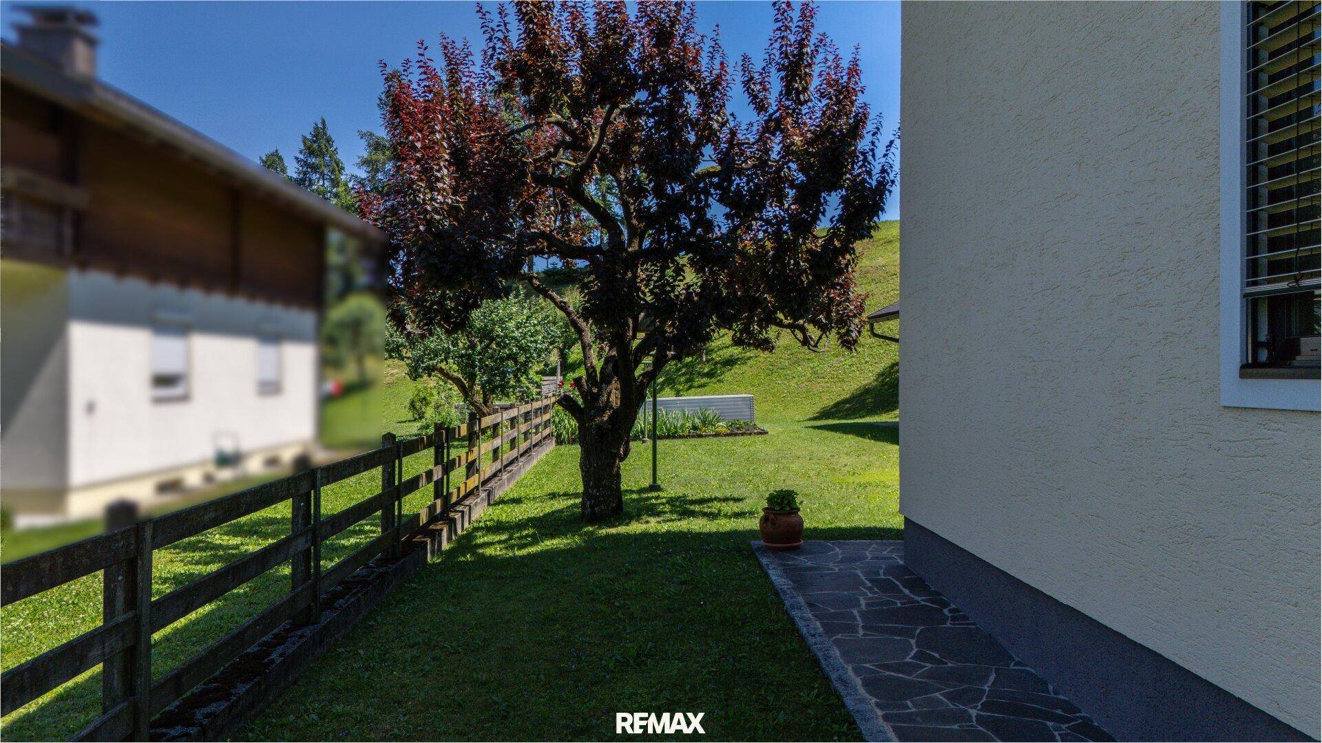 Seitlicher Gartenbereich mit altem Baum, Holzzaun und gepflastertem Weg.