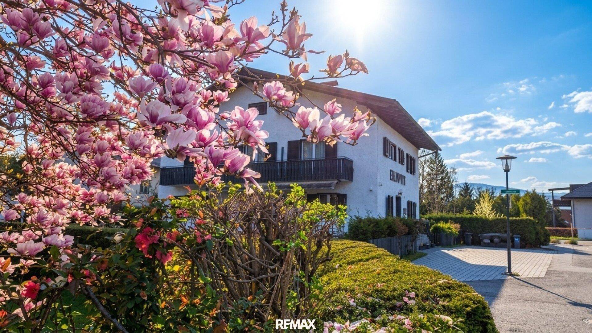 Weißes Haus mit blühenden Magnolien im Vordergrund unter strahlendem Frühlingshimmel.