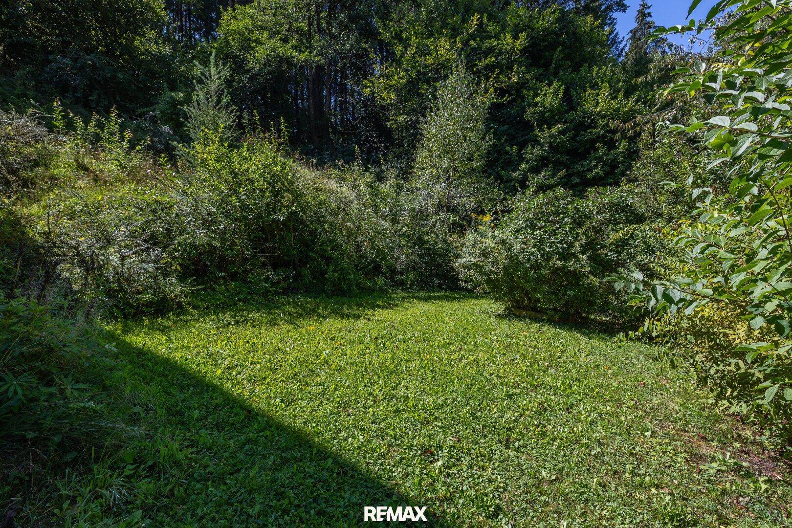 Kleiner, privater Gartenbereich mit sattgrünem Rasen und dichtem Buschwerk im Hintergrund.